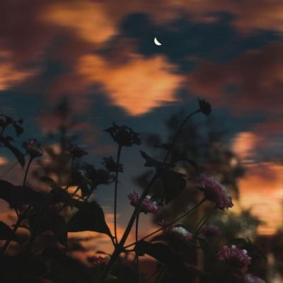 一肖三码下载手机版